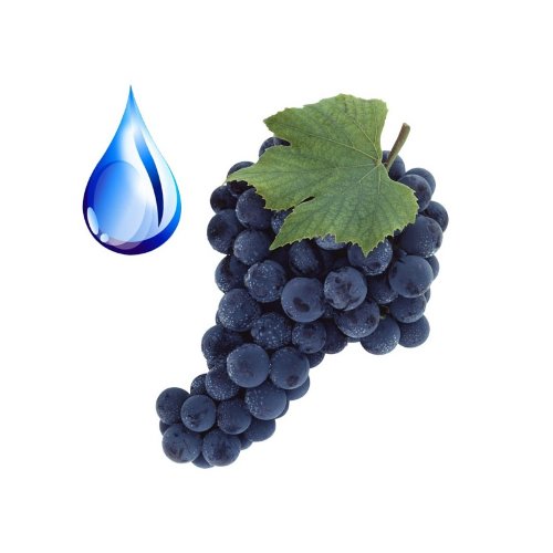 Масло Виноградной косточки водорастворимое 